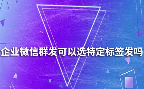 企业微信群发可以通过选择特定标签发吗