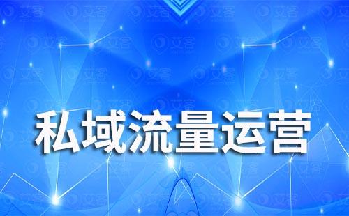 私域流量如何助力中小企业增长新机会