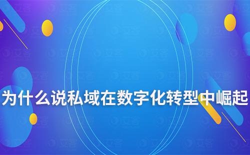 为什么说私域在数字化转型中崛起